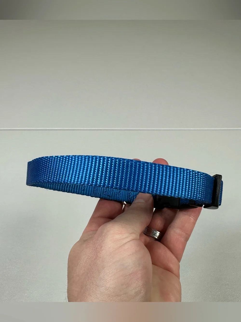 NEW Top Paw Adjustable Dog Collar
